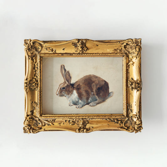 Brown And White Bunny Vintage Art 019: Digital Download
