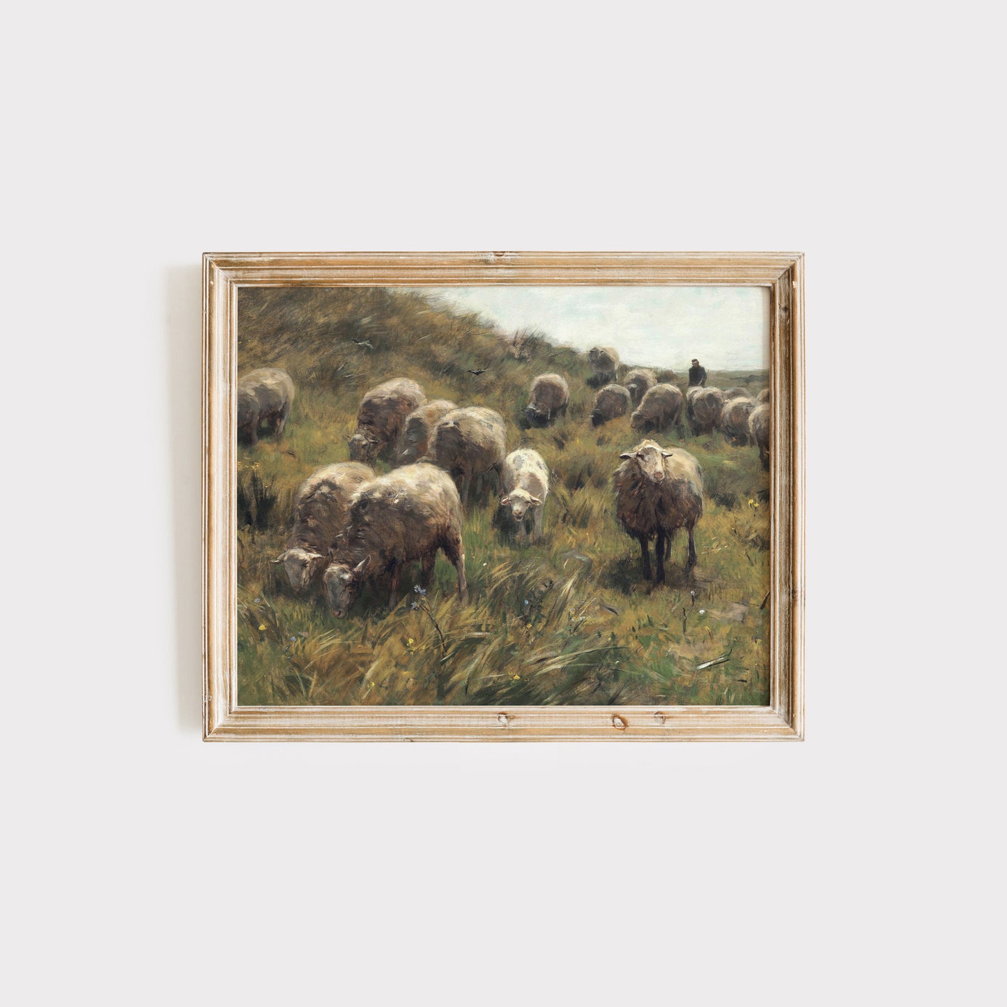 Sheep In Meadow Vintage Art 008: Digital Download