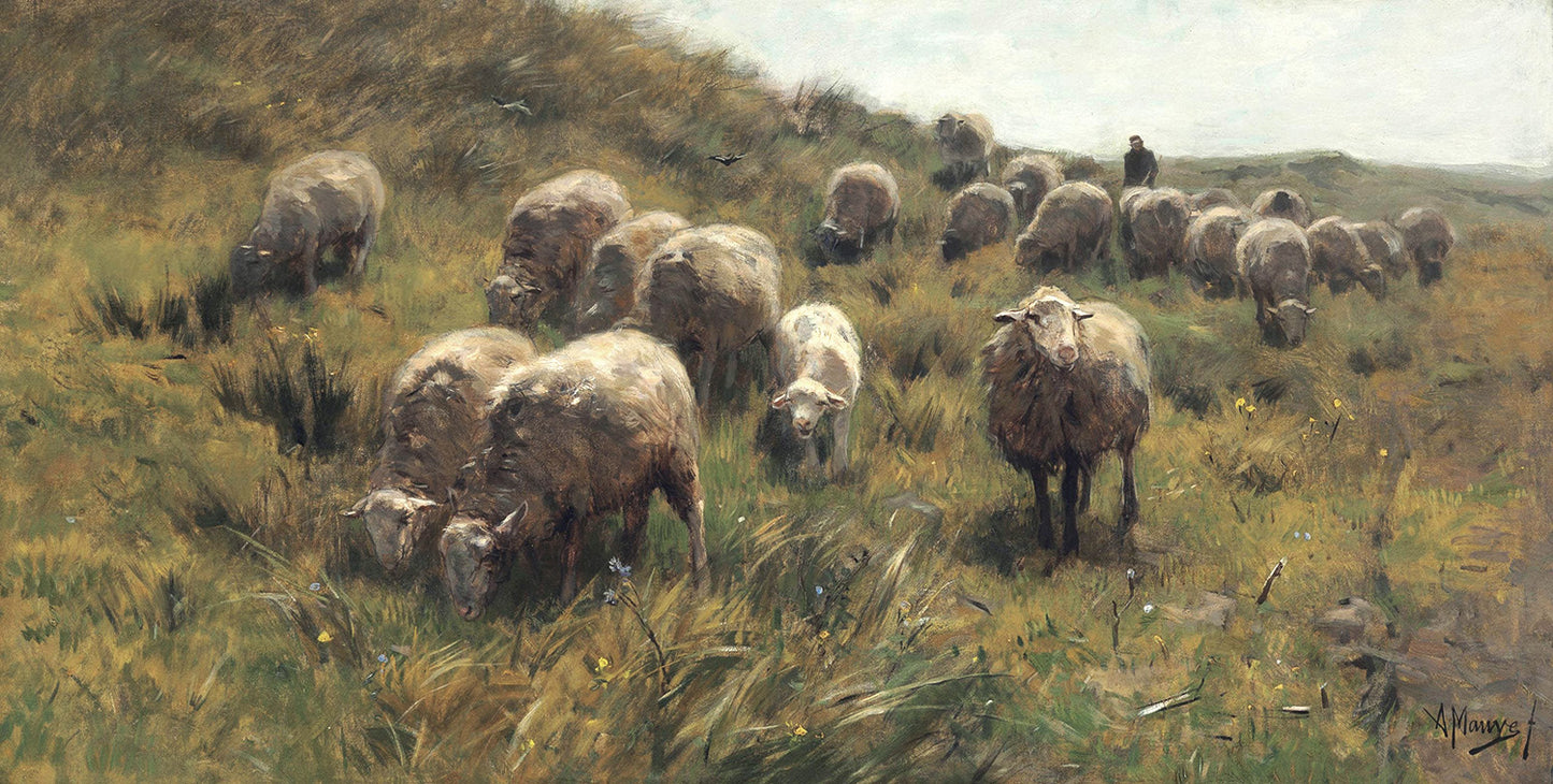 Sheep In Meadow Vintage Art 008: Digital Download